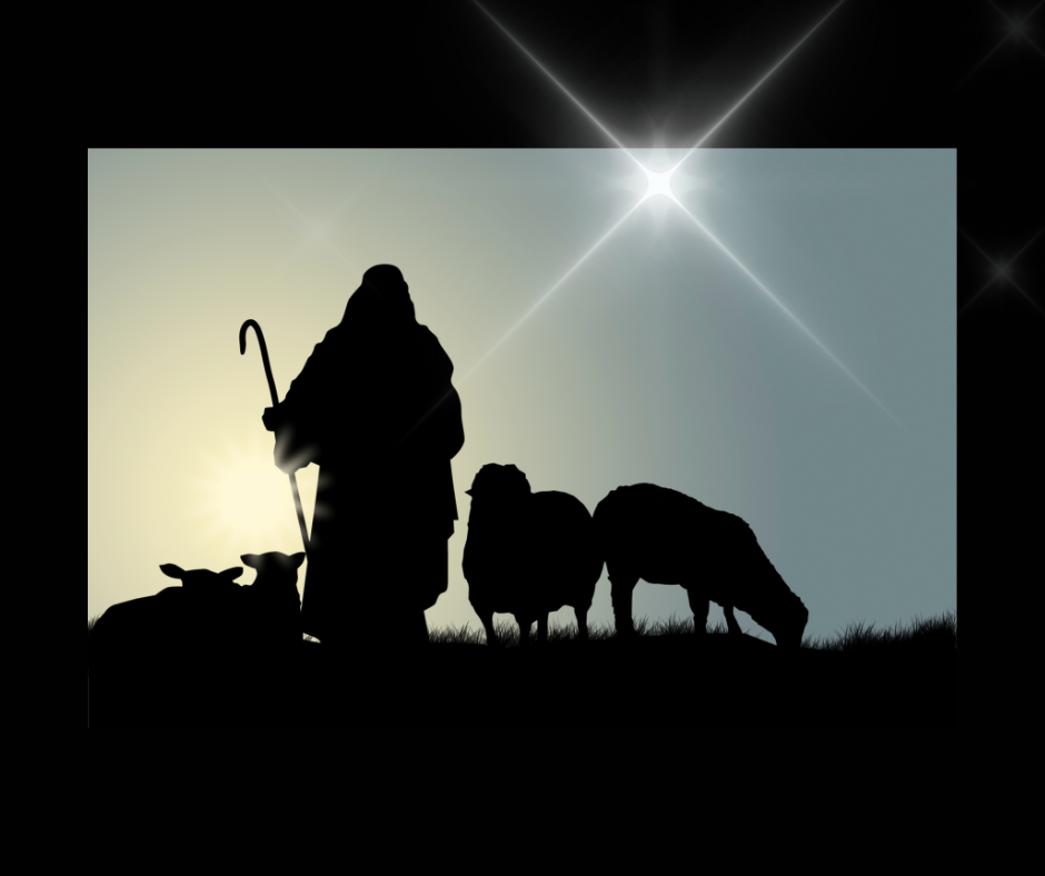 ルカ福音書2章1-14節「羊飼いが招かれた理由」2022年12月24日主の降誕夜半のミサカトリック六甲教会